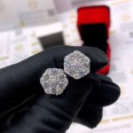 Unisex VVS Moissanite Diamond Earrings